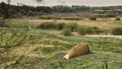 Robens Elk River 1 Tent - Green Vineyard -Camping Verkoop 130268 elk river 1 zelt green vineyard 15 1241913