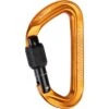 Mammut Sender Screwgate Carabiner - Gold