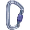Black Diamond LiteForge Screwgate Carabiner - Gray