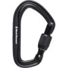 Black Diamond HotForge Screwgate Carabiner - Black