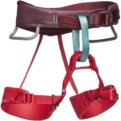 Black Diamond Momentum Kid's Harness - Wild Rose