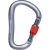 Black Diamond RockLock Screwgate Carabiner - Gray