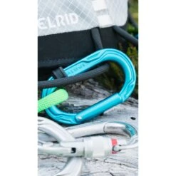 Edelrid Kiwi Slider Carabiner - Icemint -Camping Verkoop edelrid kiwi 73765 73755 9 1186382