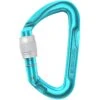 Edelrid Pure Screw III Karabijnhaak - Icemint